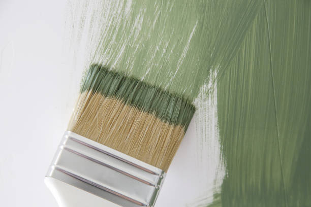 Best Mold Prevention Services  in Phillips, WI