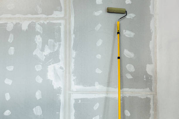 Best Mold Remediation for Healthcare Facilities  in Phillips, WI